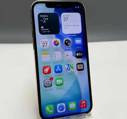 iPhone 12 Pro 256GB Gold 100%